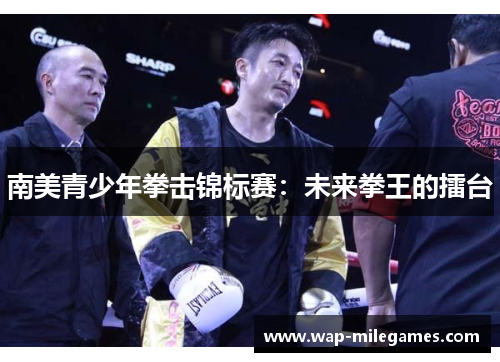 南美青少年拳击锦标赛：未来拳王的擂台