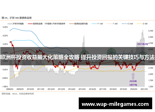 欧洲杯投资收益最大化策略全攻略 提升投资回报的关键技巧与方法