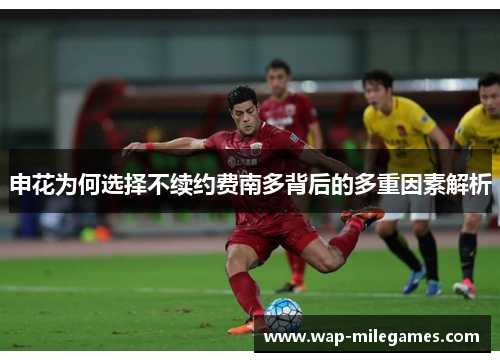 申花为何选择不续约费南多背后的多重因素解析