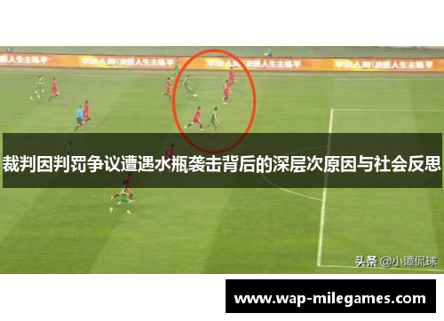 裁判因判罚争议遭遇水瓶袭击背后的深层次原因与社会反思