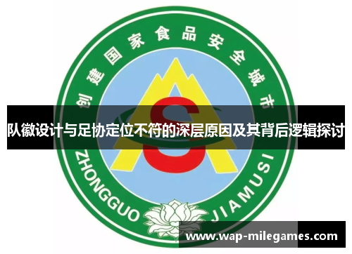 队徽设计与足协定位不符的深层原因及其背后逻辑探讨
