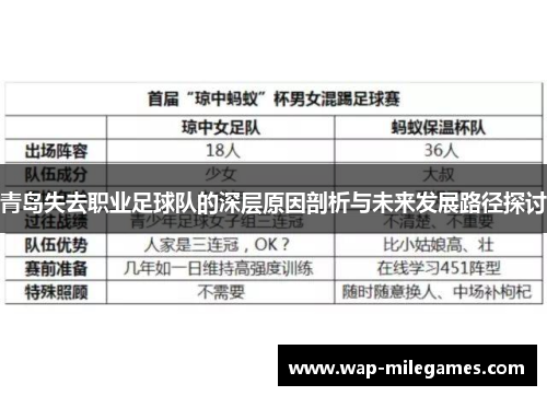 青岛失去职业足球队的深层原因剖析与未来发展路径探讨