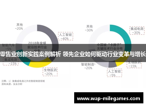 零售业创新实践案例解析 领先企业如何驱动行业变革与增长