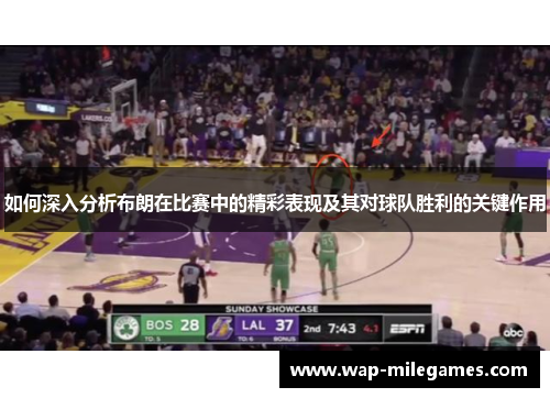 如何深入分析布朗在比赛中的精彩表现及其对球队胜利的关键作用